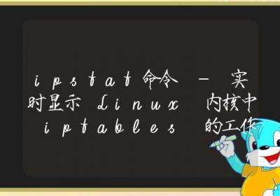 ipstat命令-实时显示 Linux 内核中 iptables 的工作状态-Linux命令大全ROED容易得分享