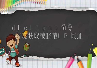 dhclient命令-动态获取或释放IP地址-Linux命令大全ROED容易得分享