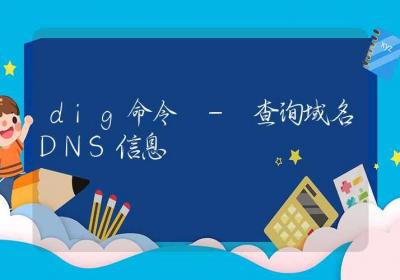 dig命令-查询域名DNS信息-Linux命令大全ROED容易得分享