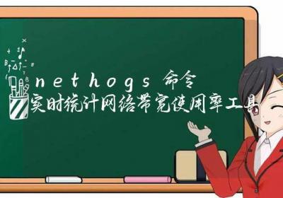 nethogs命令-实时统计网络带宽使用率工具-Linux命令大全ROED容易得分享