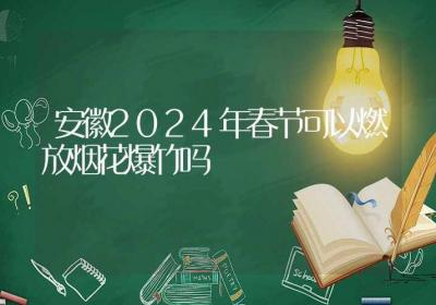 安徽2024年春节可以燃放烟花爆竹吗-ROED容易得分享