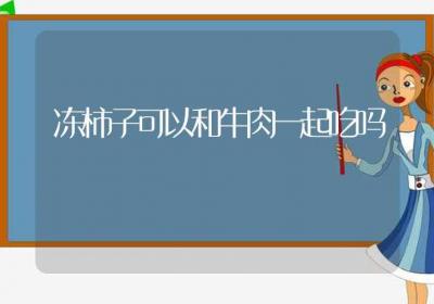 冻柿子可以和牛肉一起吃吗-ROED容易得分享