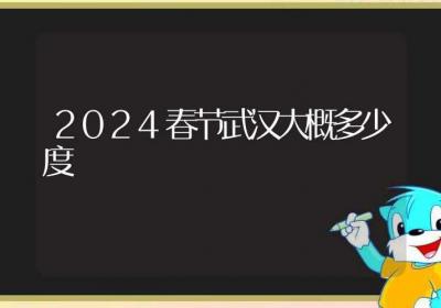 2024春节武汉大概多少度-ROED容易得分享