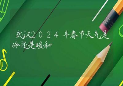 武汉2024年春节天气是冷还是暖和-ROED容易得分享