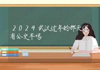 2024武汉过年的那天还有公交车吗-ROED容易得分享