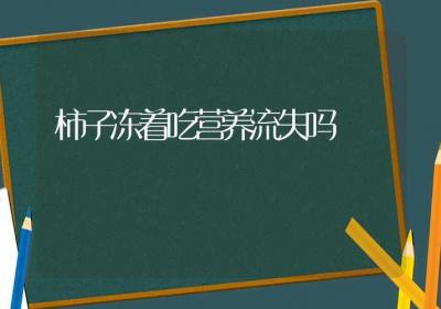 柿子冻着吃营养流失吗-ROED容易得分享