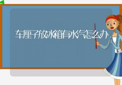 车厘子放冰箱有水汽怎么办-ROED容易得分享