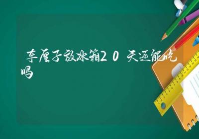 车厘子放冰箱20天还能吃吗-ROED容易得分享