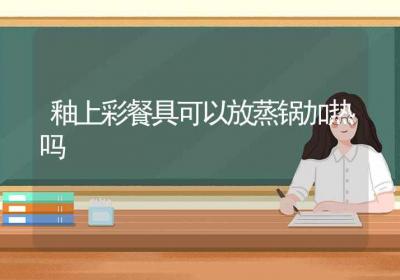 釉上彩餐具可以放蒸锅加热吗-ROED容易得分享