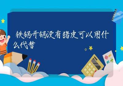 铁锅开锅没有猪皮可以用什么代替-ROED容易得分享