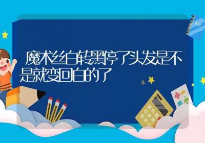 魔术丝白转黑停了头发是不是就变回白的了-ROED容易得分享