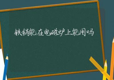 铁锅能在电磁炉上能用吗-ROED容易得分享