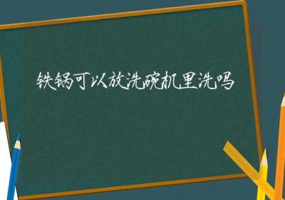 铁锅可以放洗碗机里洗吗-ROED容易得分享