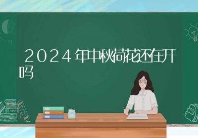 2024年中秋荷花还在开吗-ROED容易得分享