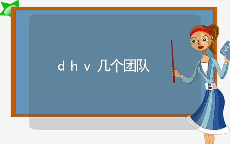 dhv几个团队