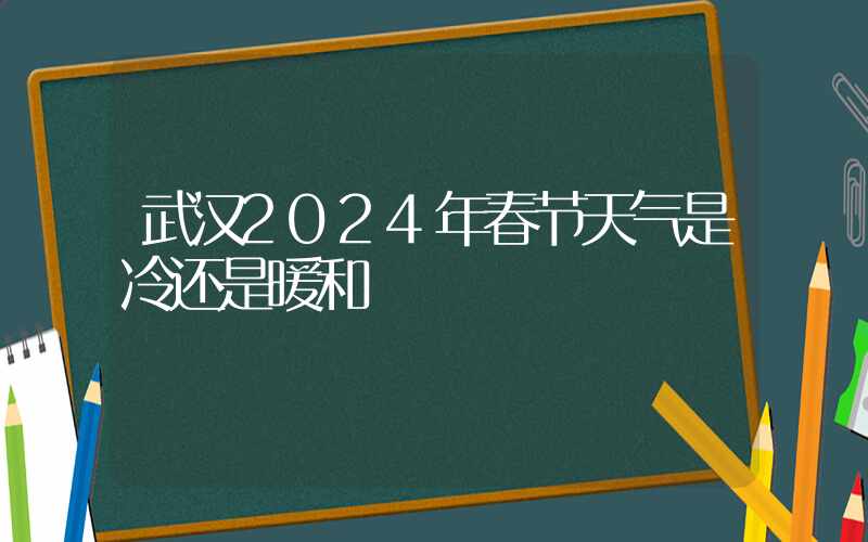 武汉2024年春节天气是冷还是暖和